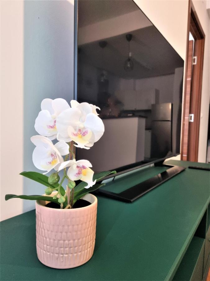 Summer Onix Mamaia Nord Apartament Năvodari Eksteriør billede